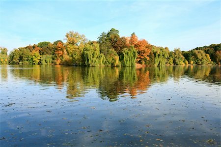 Pond water surface with reflection of colorful trees  in autumn park Stock Photo - Budget Royalty-Free & Subscription, Code: 400-04671750