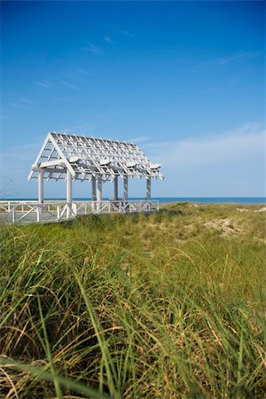 Arbor near beach with grasses in foreground.  Vertical shot. Fotografie stock - Microstock e Abbonamento, Codice: 400-04671998