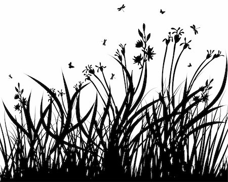 simsearch:400-08615799,k - Vector grass silhouettes background. All objects are separated. Stock Photo - Budget Royalty-Free & Subscription, Code: 400-04672798