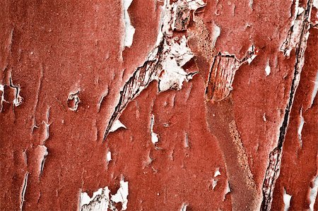 Old painted red wood texture Stock Photo - Budget Royalty-Free & Subscription, Code: 400-04672838