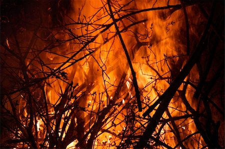 pontuse (artist) - Huge Fire in the forest or jungle Stockbilder - Microstock & Abonnement, Bildnummer: 400-04684317