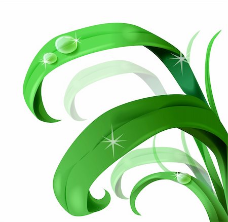 simsearch:400-07169438,k - green leaves with water drop on the white background Stock Photo - Budget Royalty-Free & Subscription, Code: 400-04684529