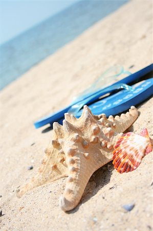 sandals resort - Pretty flip flop sandals on beach by starfish Foto de stock - Royalty-Free Super Valor e Assinatura, Número: 400-04684660