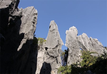 stone forest shilin yunnan province china Stock Photo - Budget Royalty-Free & Subscription, Code: 400-04685671