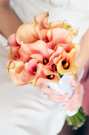 dinga (artist) - Bride's hands holding bouquet flowers, DOF Fotografie stock - Microstock e Abbonamento, Codice: 400-04687134