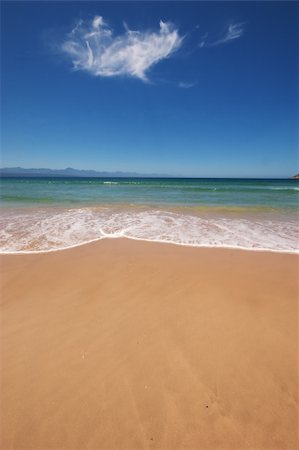 simsearch:400-04838949,k - Vertical shot of beach in South Africa on a sunny day Photographie de stock - Aubaine LD & Abonnement, Code: 400-04687187