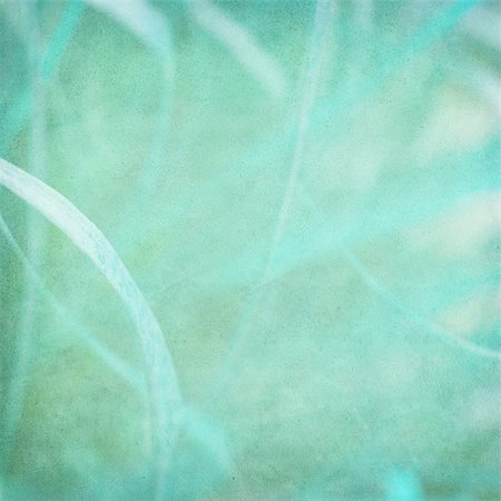 Misty blue grass abstract on paper textured background Photographie de stock - Aubaine LD & Abonnement, Code: 400-04687566