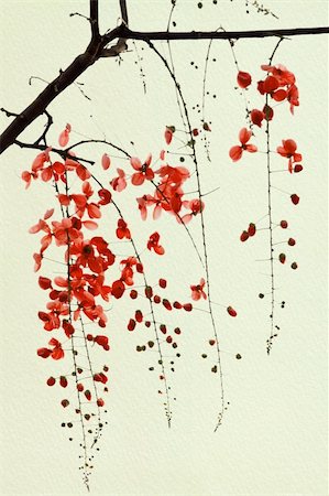 Branch of Red Blossom on Handmade Paper Photographie de stock - Aubaine LD & Abonnement, Code: 400-04687569