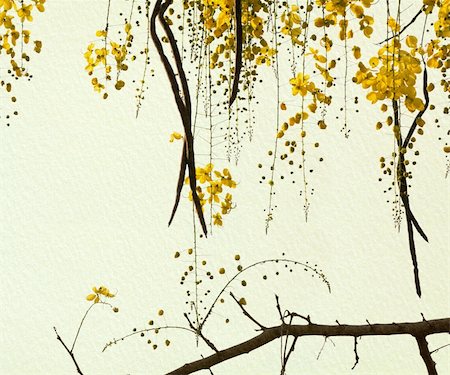 Golden Shower Tree on Handmade Paper Art background Photographie de stock - Aubaine LD & Abonnement, Code: 400-04687572