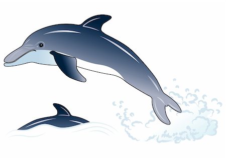 Dolphin, element for design, vector illustration Stock Photo - Budget Royalty-Free & Subscription, Code: 400-04687971