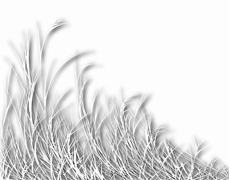 Illustration of long white grass with shadows Photographie de stock - Aubaine LD & Abonnement, Code: 400-04688730