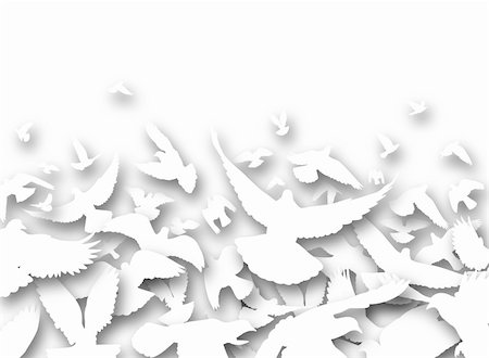 dove images graphic outline - Illustrated foreground of a flock of white pigeons Stock Photo - Budget Royalty-Free & Subscription, Code: 400-04688813