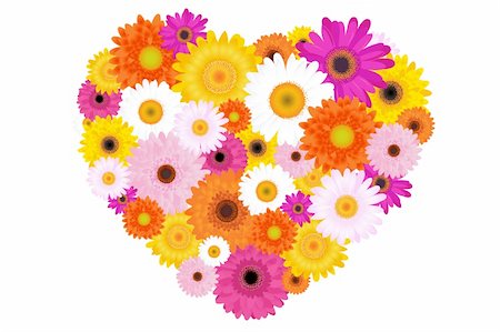 Heart Made Of Colorful Daisies, Isolated On White Stock Photo - Budget Royalty-Free & Subscription, Code: 400-04689922