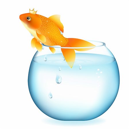 Dreaming Goldfish In Aquarium, Isolated On White Stock Photo - Budget Royalty-Free & Subscription, Code: 400-04689933