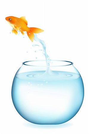 simsearch:400-04689966,k - Golden Fish Jumping To Other Aquarium, Isolated On White Photographie de stock - Aubaine LD & Abonnement, Code: 400-04689982