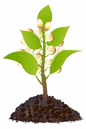 simsearch:400-04806477,k - Young plant with golden coins, Isolated On White Stock Photo - Budget Royalty-Free & Subscription, Code: 400-04689992