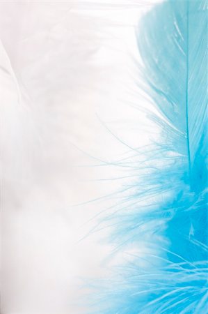 feathery - colorful feathers easter background Stock Photo - Budget Royalty-Free & Subscription, Code: 400-04680184