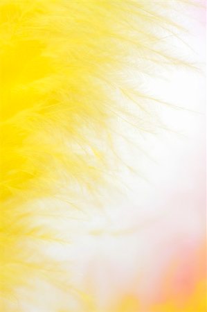 feathery - colorful feathers easter background Stock Photo - Budget Royalty-Free & Subscription, Code: 400-04680182