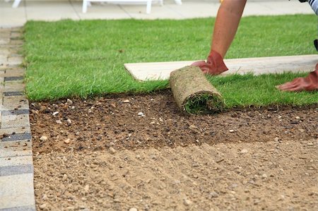 simsearch:400-08074641,k - Man laying sod for new garden lawn Stock Photo - Budget Royalty-Free & Subscription, Code: 400-04680226