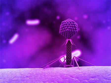 3d rendered close up of an isolated bacteriophage Stock Photo - Budget Royalty-Free & Subscription, Code: 400-04680548