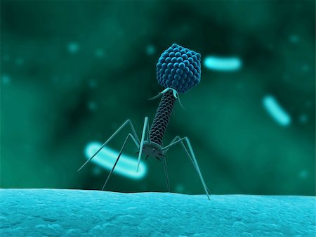 electron microscope - 3d rendered close up of an isolated bacteriophage Stock Photo - Budget Royalty-Free & Subscription, Code: 400-04680549