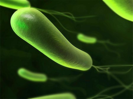 simsearch:400-04157099,k - 3d rendered close up of an isolated heliobacter bacterium Stock Photo - Budget Royalty-Free & Subscription, Code: 400-04680554