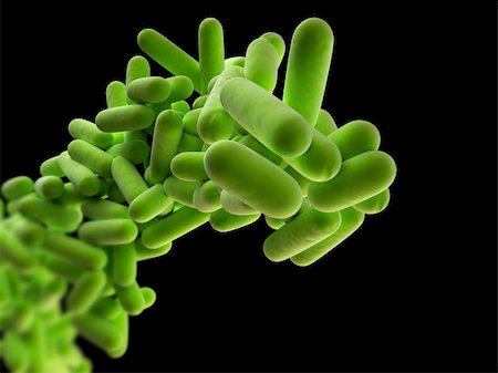 simsearch:400-04680612,k - 3d rendered close up of isolated bacteria Fotografie stock - Microstock e Abbonamento, Codice: 400-04680555