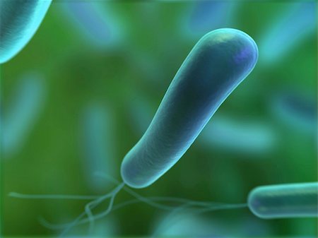 simsearch:400-04680612,k - 3d rendered close up of an isolated heliobacter bacterium Fotografie stock - Microstock e Abbonamento, Codice: 400-04680556