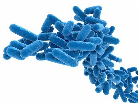 simsearch:400-03979591,k - 3d rendered close up of isolated bacteria Stockbilder - Microstock & Abonnement, Bildnummer: 400-04680587