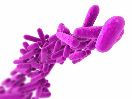 simsearch:400-03979591,k - 3d rendered close up of isolated bacteria Stockbilder - Microstock & Abonnement, Bildnummer: 400-04680603