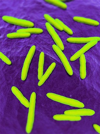 simsearch:400-05075560,k - 3d rendered close up of isolated bacteria Stockbilder - Microstock & Abonnement, Bildnummer: 400-04680610