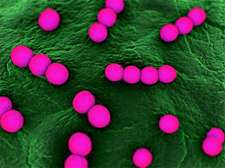 simsearch:400-04680612,k - 3d rendered close up of isolated bacteria Fotografie stock - Microstock e Abbonamento, Codice: 400-04680612