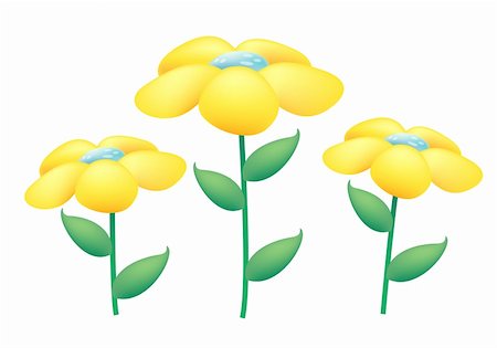 simsearch:400-04432314,k - yellow wild flowers on the white background Stock Photo - Budget Royalty-Free & Subscription, Code: 400-04681711