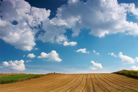 Summer blue sky over a plowed field Foto de stock - Super Valor sin royalties y Suscripción, Código: 400-04681932