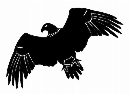 simsearch:400-05300568,k - drawing of eagle in a white background Foto de stock - Royalty-Free Super Valor e Assinatura, Número: 400-04682260