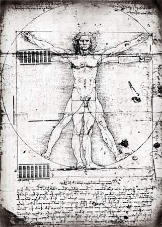 Photo of the Vitruvian Man by Leonardo Da Vinci from 1492 on textured background. Stock Photo - Budget Royalty-Free & Subscription, Code: 400-04682318