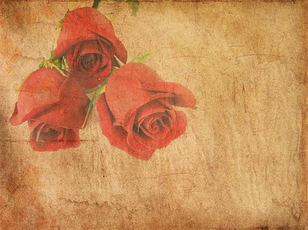 flower border design of rose - Grunge paper with red roses. There is an empty seat for your text Stock Photo - Budget Royalty-Free & Subscription, Code: 400-04682497