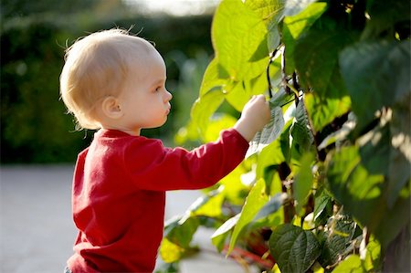 simsearch:400-04067084,k - Young baby in a park touching leaves in a park Stock Photo - Budget Royalty-Free & Subscription, Code: 400-04683848