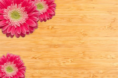simsearch:400-06073508,k - Bright Pink Gerber Daisies with Water Drops on a Bamboo Wood Background with Copy Space. Photographie de stock - Aubaine LD & Abonnement, Code: 400-04694031