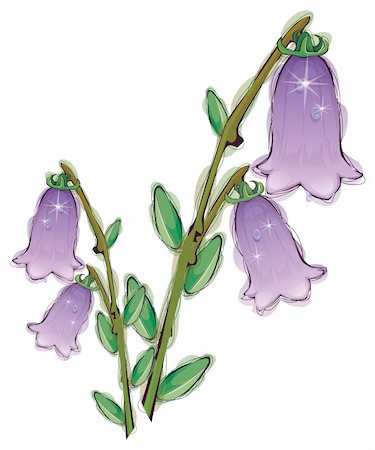 simsearch:400-04696103,k - illustration drawing of purple flower in a white background Foto de stock - Super Valor sin royalties y Suscripción, Código: 400-04696116