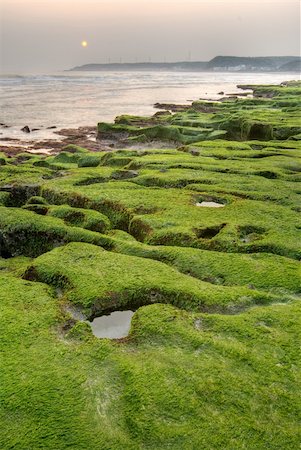 Landscape of nature green coastline in morning with sunrise. Stock Photo - Budget Royalty-Free & Subscription, Code: 400-04696269