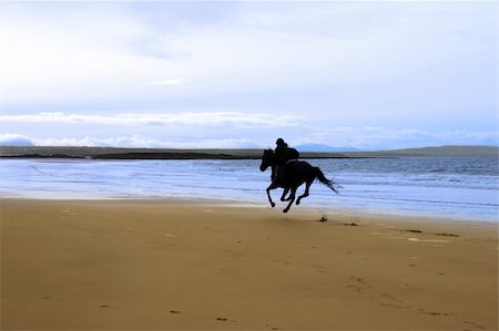 silhouette of a horse and rider galloping on ballybunion beach at sunset in kerry ireland Photographie de stock - Aubaine LD & Abonnement, Code: 400-04696608