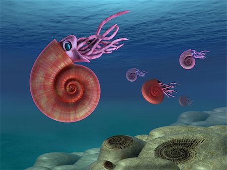 simsearch:400-04862629,k - Illustration of ammonites swimming in the sea Stock Photo - Budget Royalty-Free & Subscription, Code: 400-04697365
