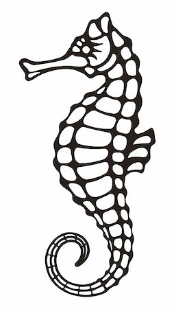 Stylized black and white icon of a seahorse on white background Foto de stock - Royalty-Free Super Valor e Assinatura, Número: 400-04697377