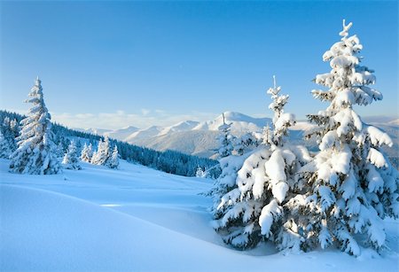 simsearch:400-04639977,k - winter rime and snow covered fir trees on mountainside (Carpathian Mountains, Ukraine) Photographie de stock - Aubaine LD & Abonnement, Code: 400-04697421
