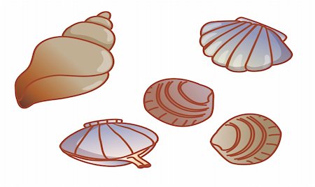 simsearch:400-04406446,k - illustration drawing of scallop and conch in a white background Stock Photo - Budget Royalty-Free & Subscription, Code: 400-04697457