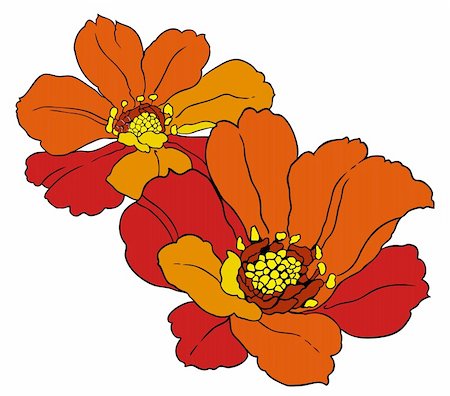 simsearch:400-04697736,k - a vivid illustration of two red flowers Photographie de stock - Aubaine LD & Abonnement, Code: 400-04697740