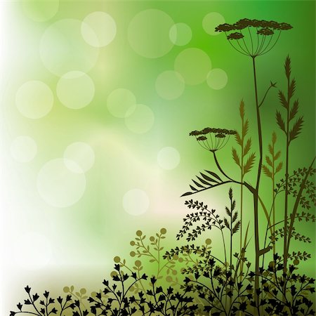 elakwasniewski (artist) - Floral background with grass and herbs on green. High resolution JPG image. Foto de stock - Super Valor sin royalties y Suscripción, Código: 400-04698091