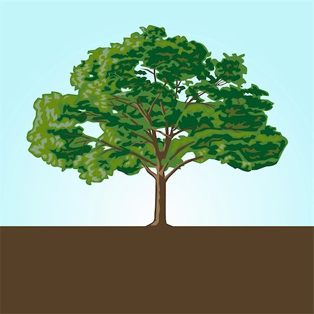 Illustrated tree, easy to change colors and edit to any size. Stock Photo - Budget Royalty-Free & Subscription, Code: 400-04699319