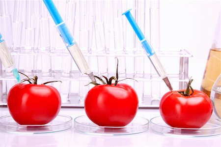Genetically modified food in laboratory Foto de stock - Super Valor sin royalties y Suscripción, Código: 400-04699400